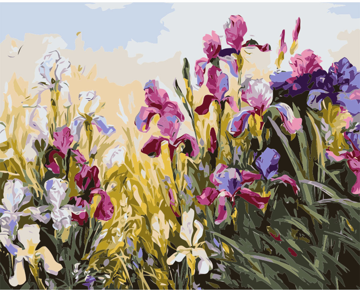 Картина по номерам «Ирисы» | Cristyle
