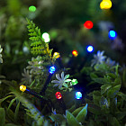 мультиколор