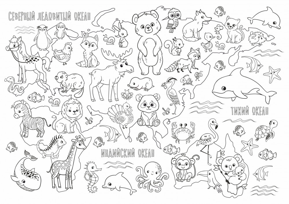 Плакат для рисования «Животный мир» | Симфония