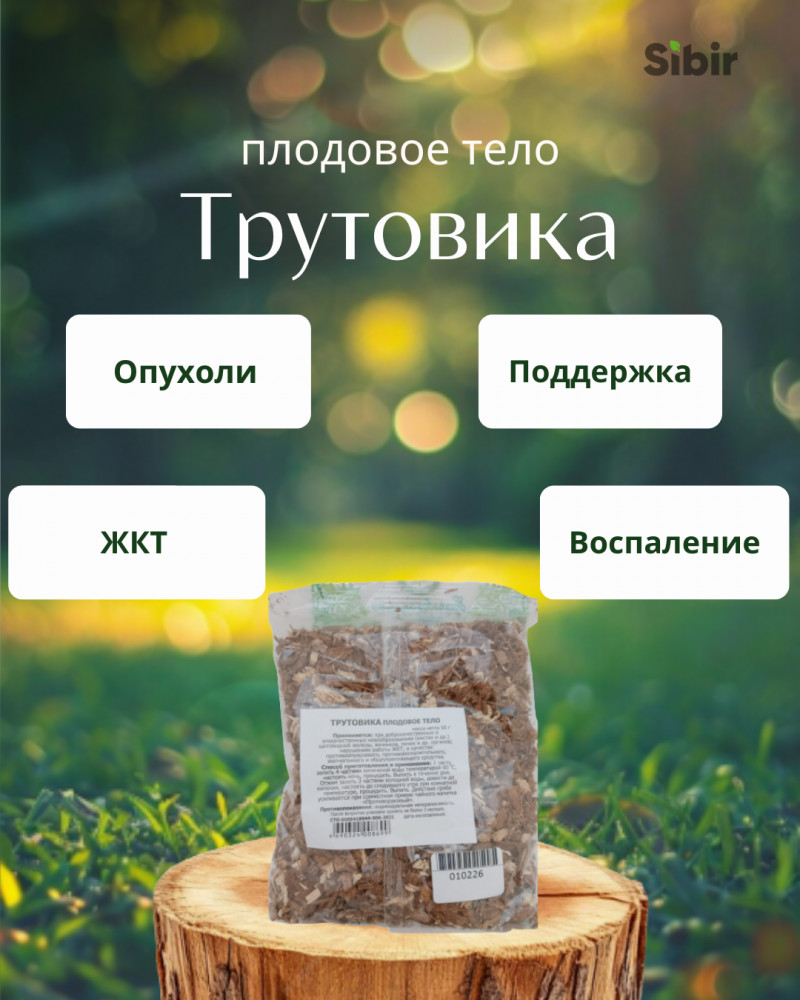 Трутовика плодовое тело | Травник Гордеев