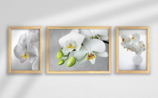 Набор постеров в деревянной раме «Нежность орхидеи»