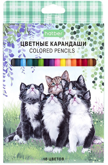 Набор карандашей «Eco» | Котики бывают разными | Hatber