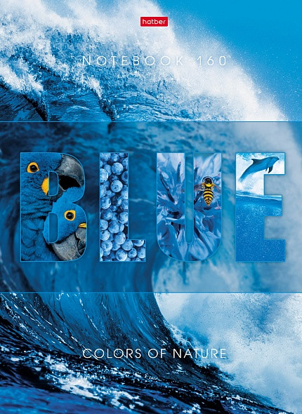 Бизнес-блокнот | Гармония цвета | Hatber
