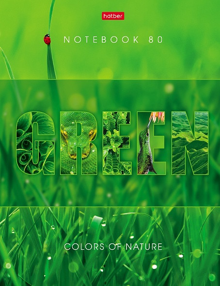 Бизнес-блокнот | Гармония цвета | Hatber