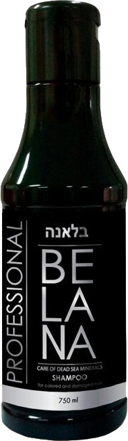Шампунь для окрашенных и поврежденных волос «Professional» | Dead Sea Minerals | Belana care