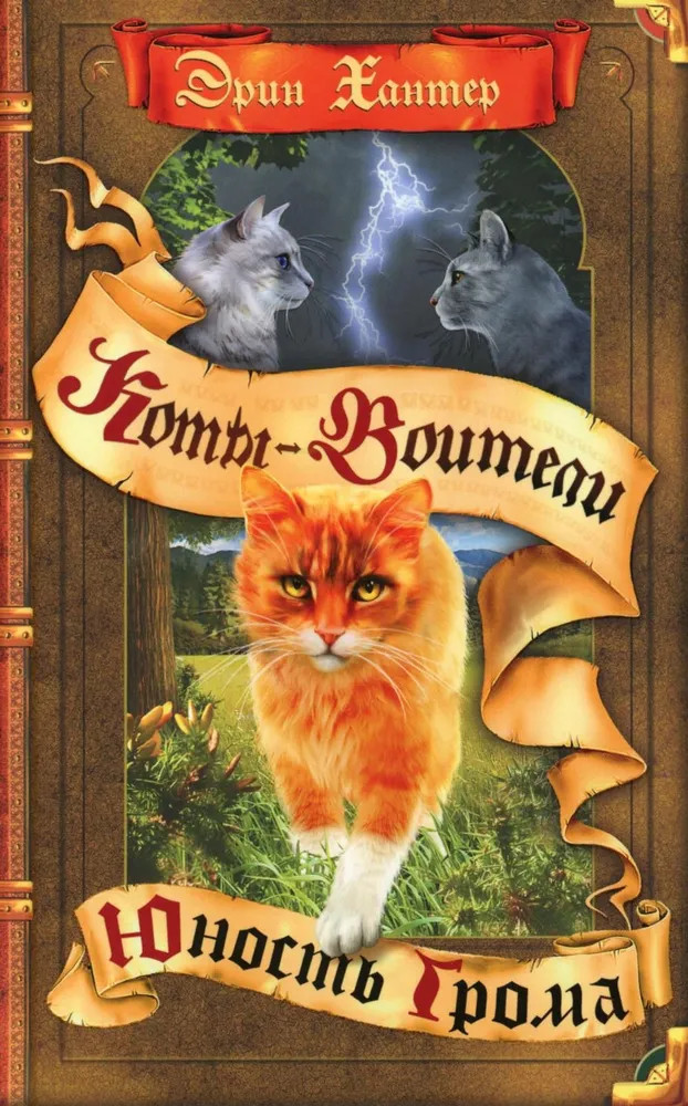 Коты-воители. Юность Грома | Коты-воители. Испытание Грача