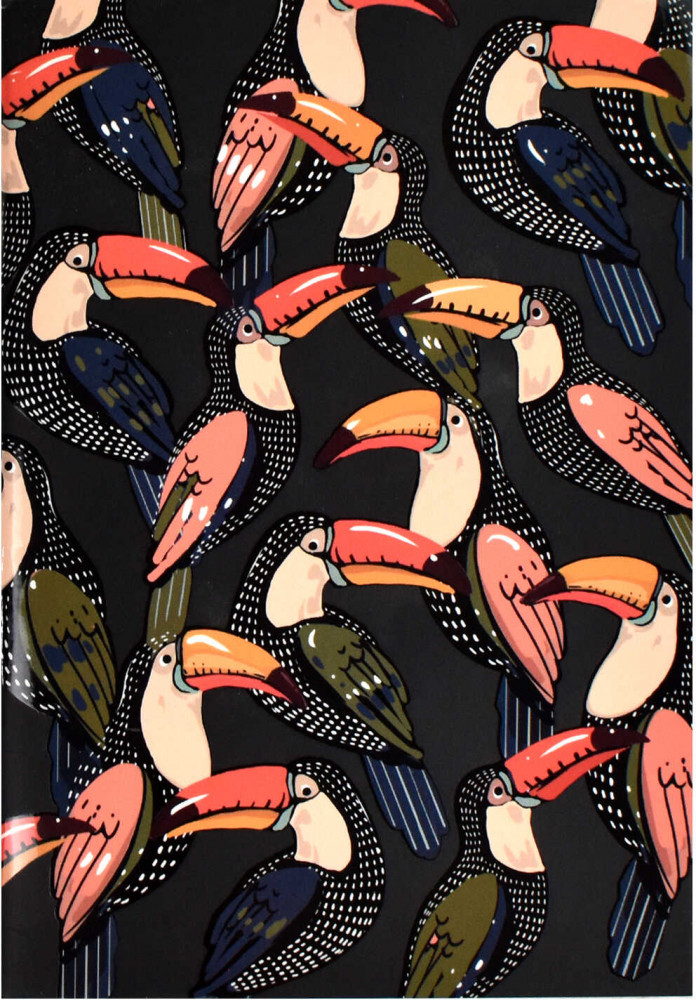 Тетрадь «Африка» | Феникс +