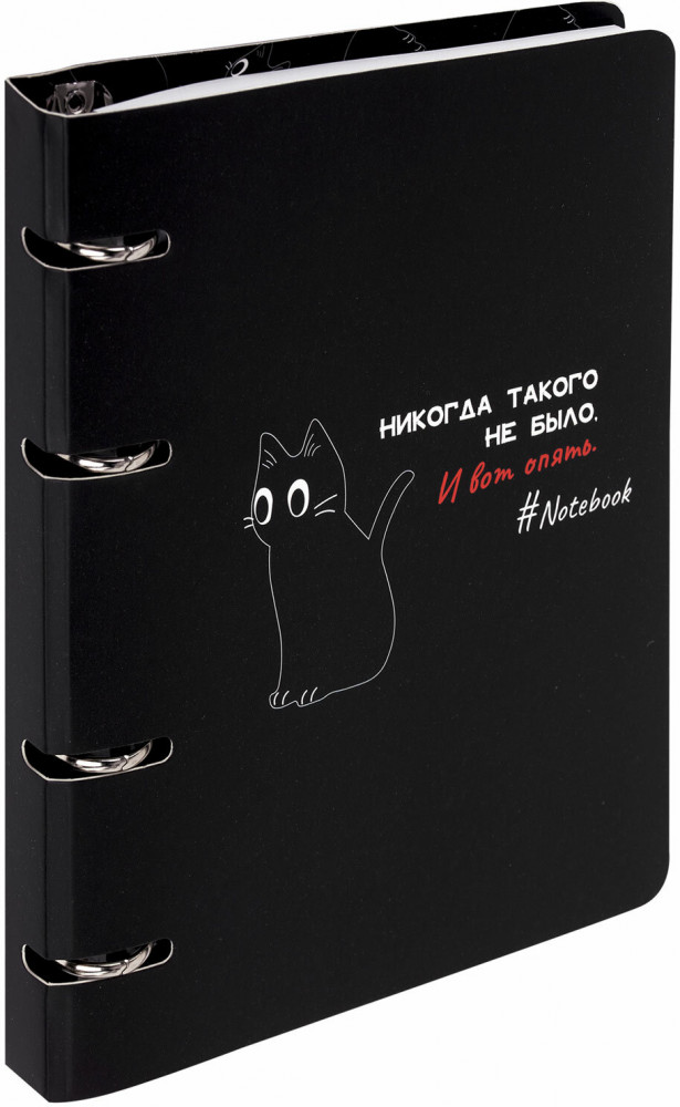 Тетрадь на кольцах «Просто Кот» | Brauberg