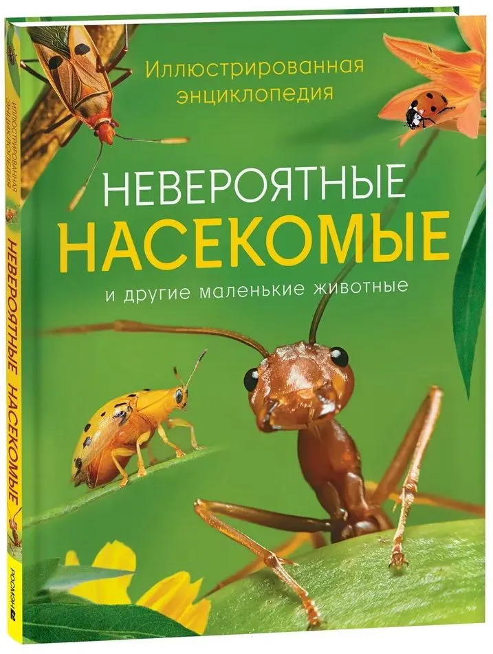 Невероятные насекомые. Иллюстрированная энциклопедия | Энциклопедии для дошкольников