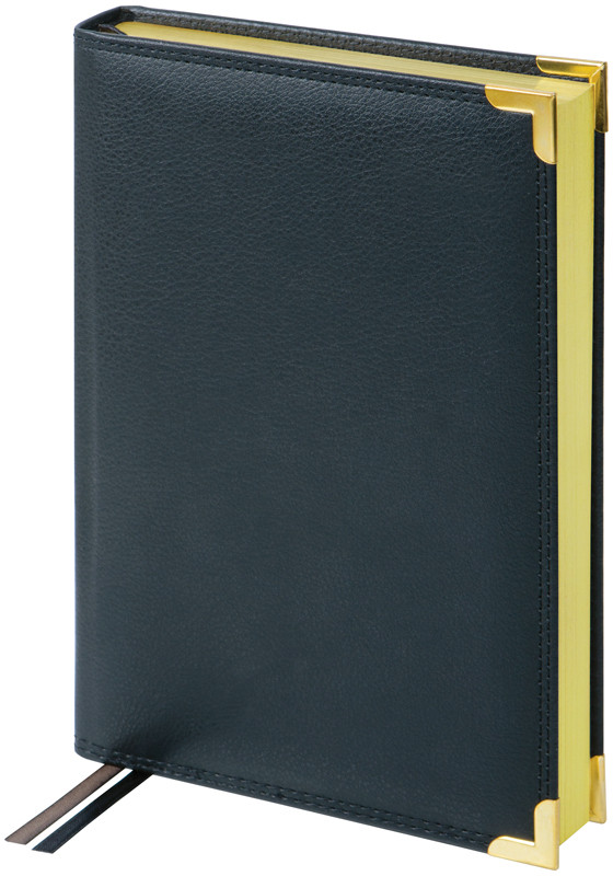 Ежедневник недатированный | Delucci