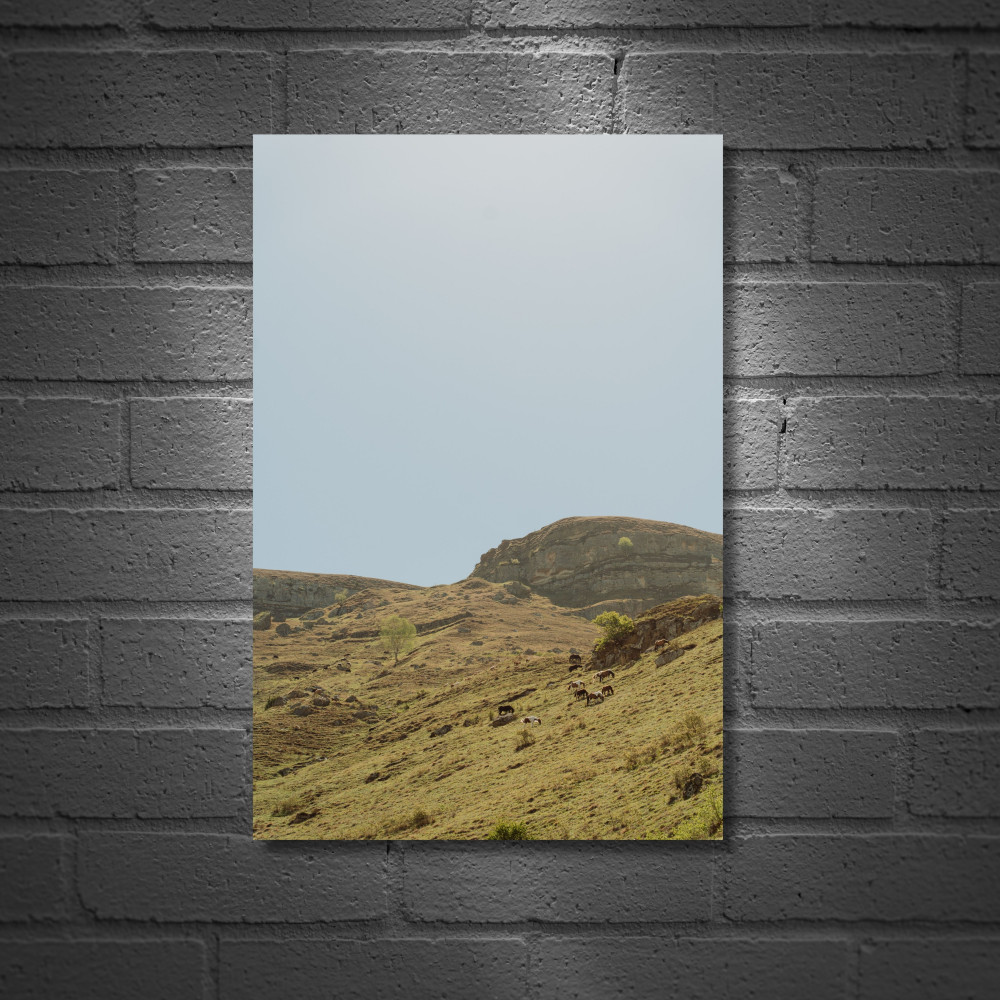 Постер «В горах»