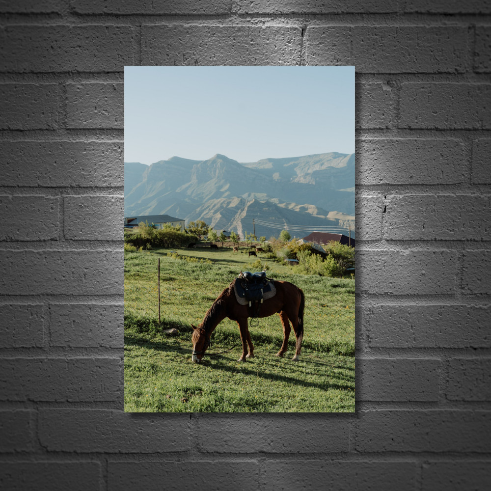 Постер «На выпасе»