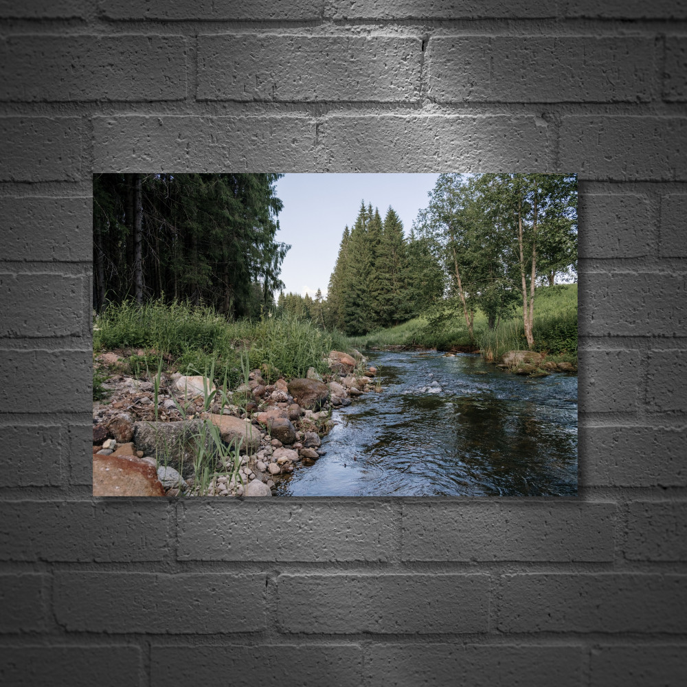 Постер «Mother Nature»