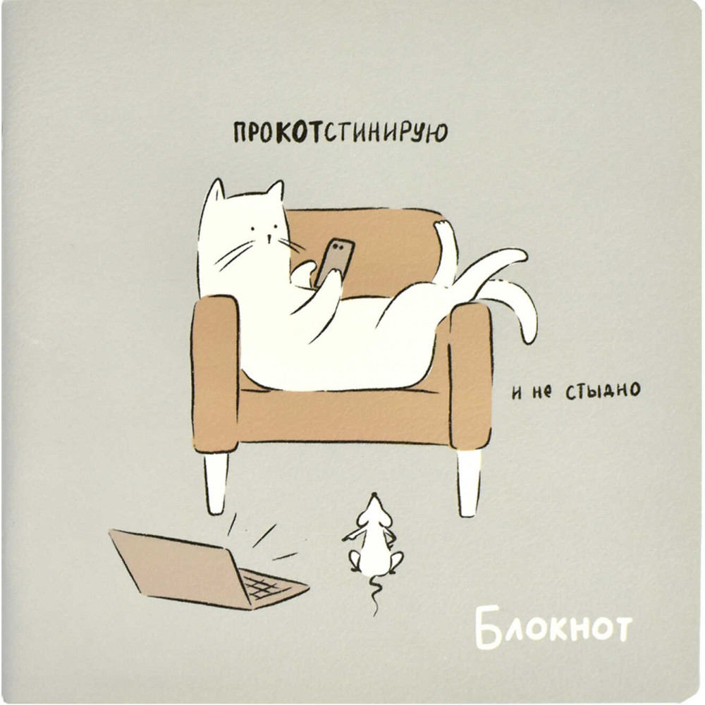 Блокнот «Релакс» | Жизнь кота | Феникс +