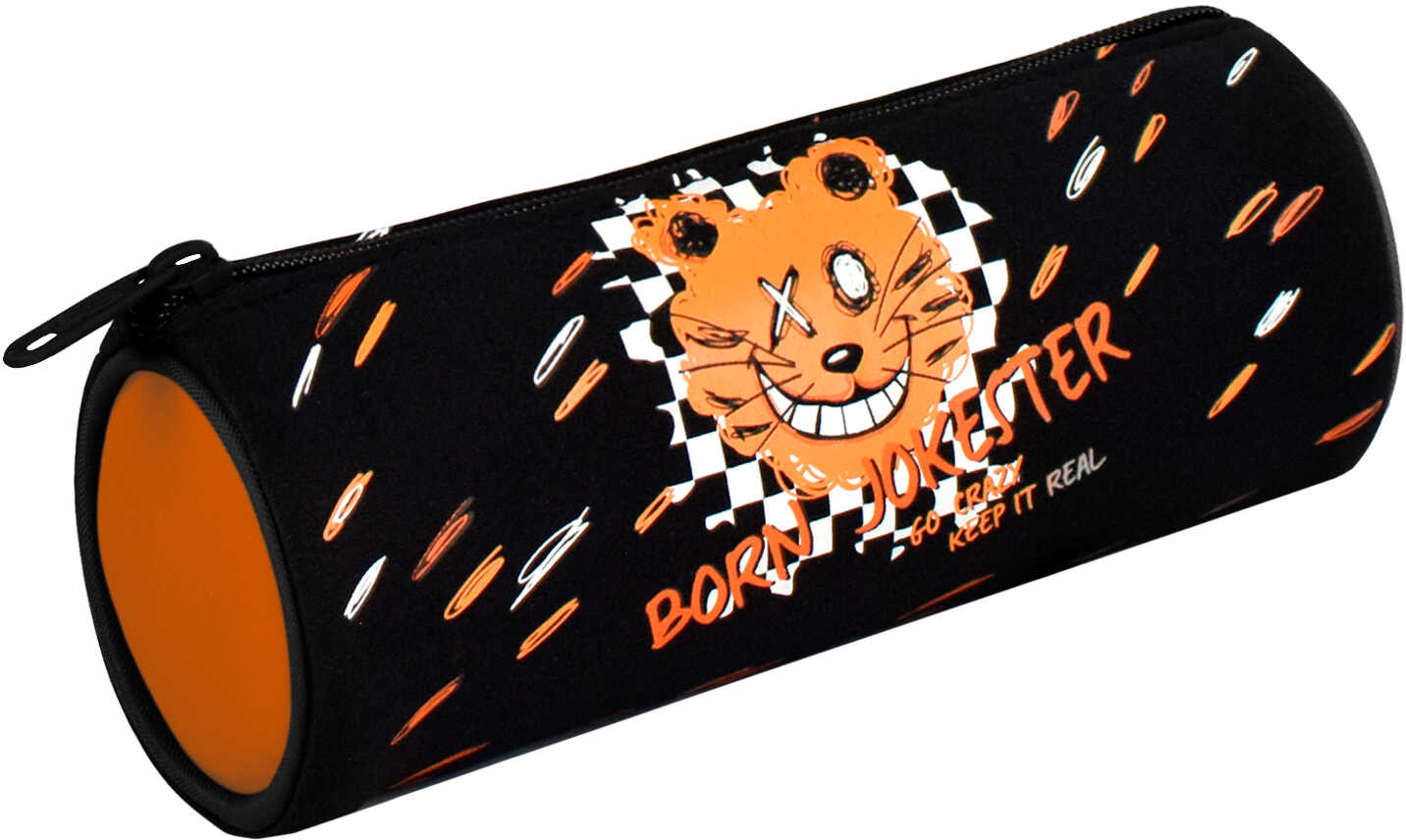 Пенал школьный «Тигрик» | Черный дизайн | Феникс +