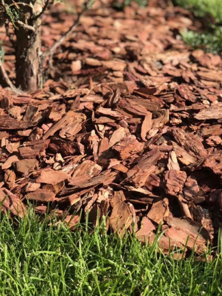 Мульча «Кора лиственницы»