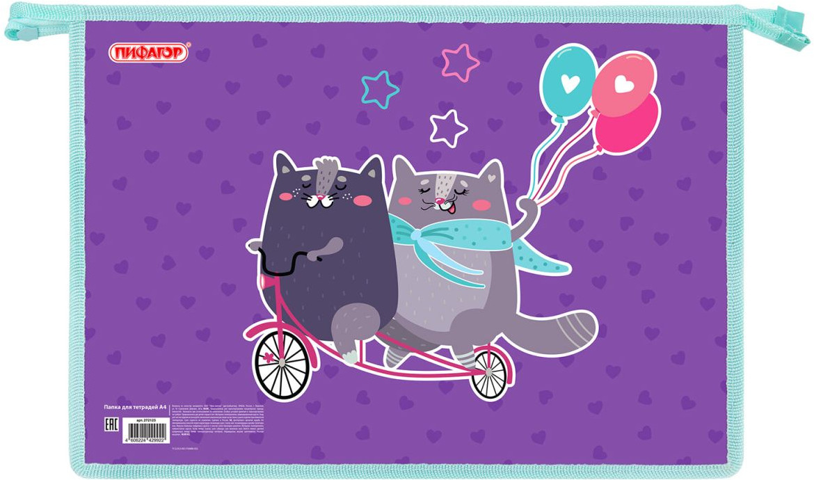 Папка для тетрадей «Bike cats» | School | Пифагор