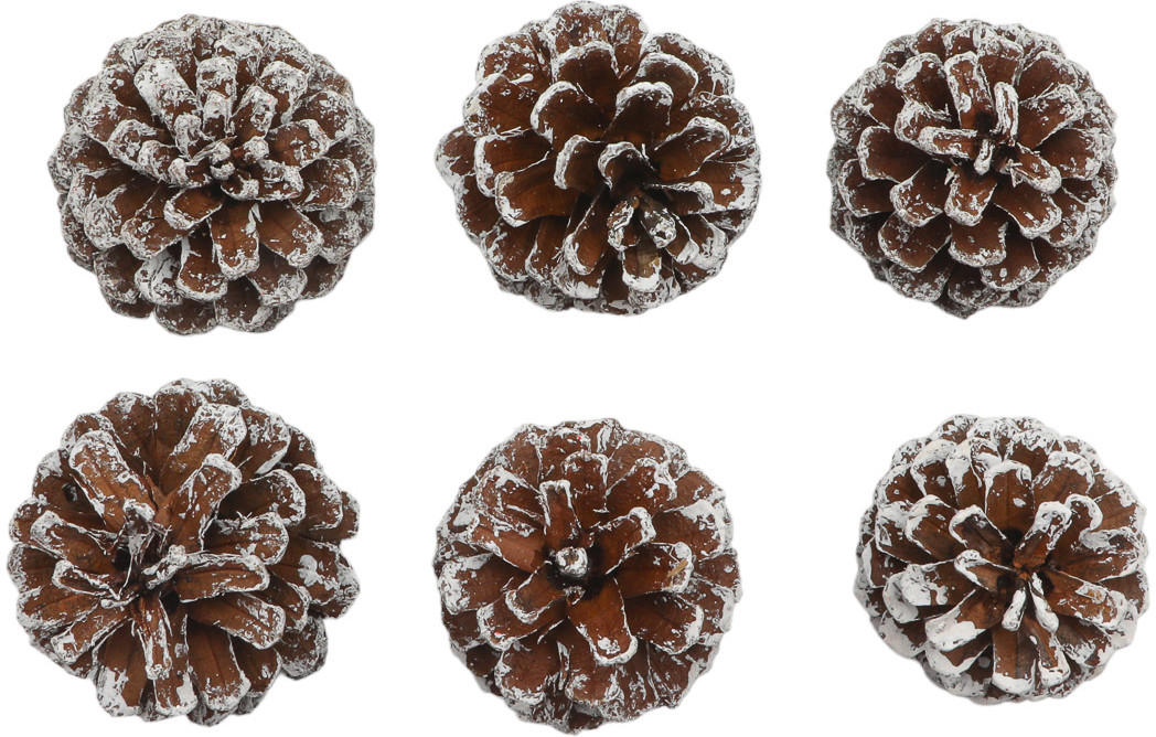 Набор шишек сосновых обработанных | Айрис