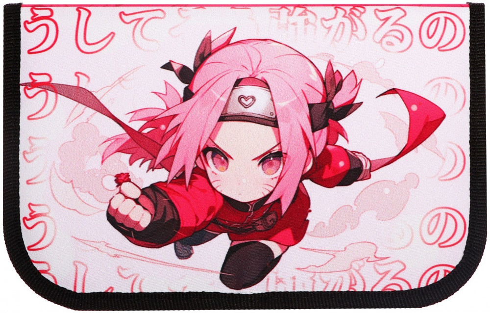 Пенал школьный «Аниме Сакура» | Top | Calligrata