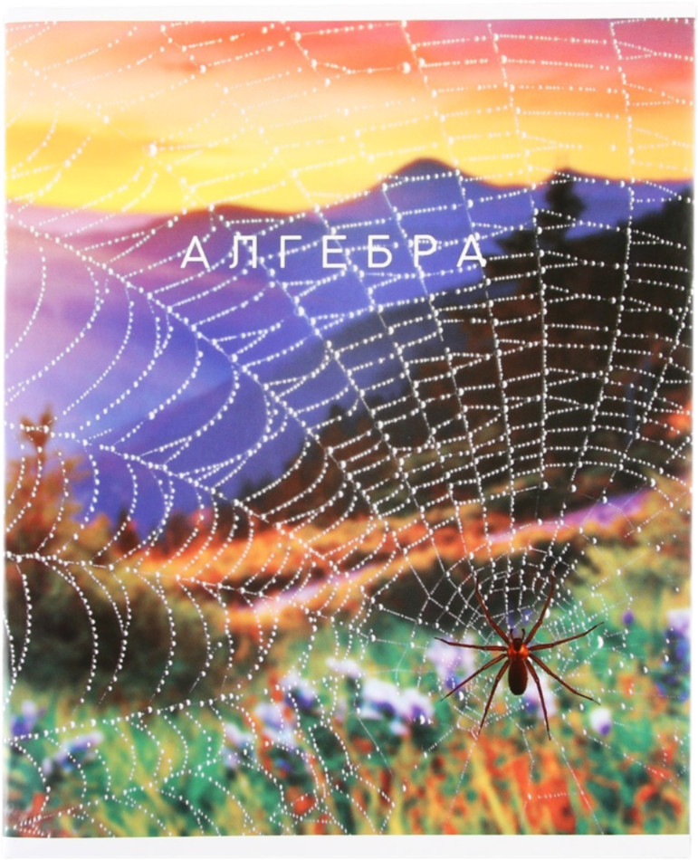 Тетрадь предметная «Алгебра» | Study — Путешествие | ArtFox