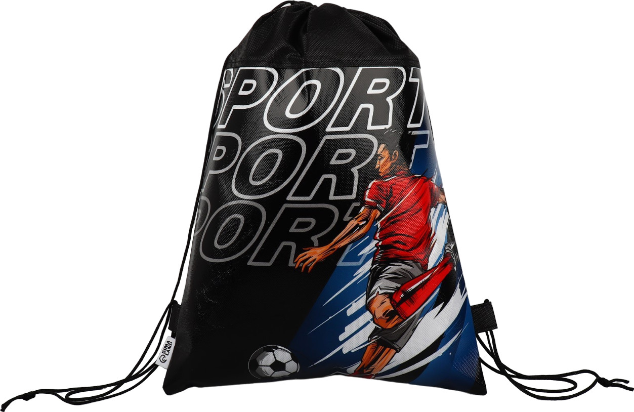 Мешок для обуви «Футбол - моя жизнь» | STUDY - Мужское | ArtFox