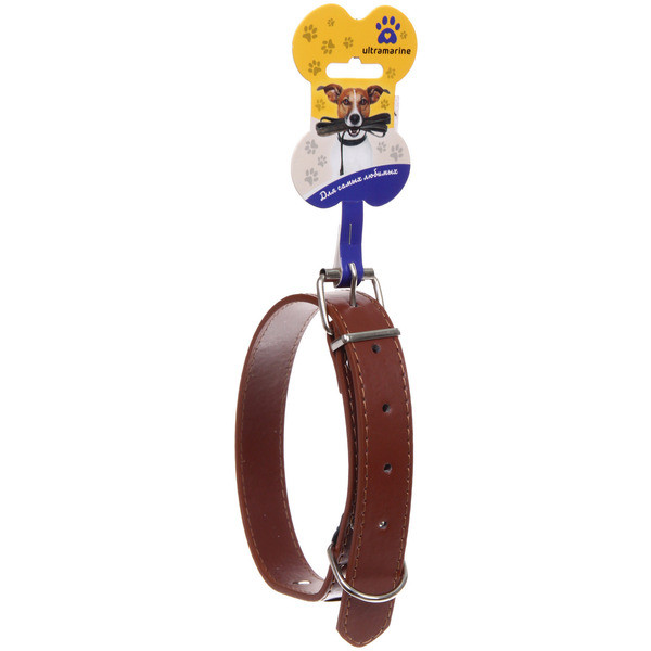 Ошейник для собак «Бро на стиле»