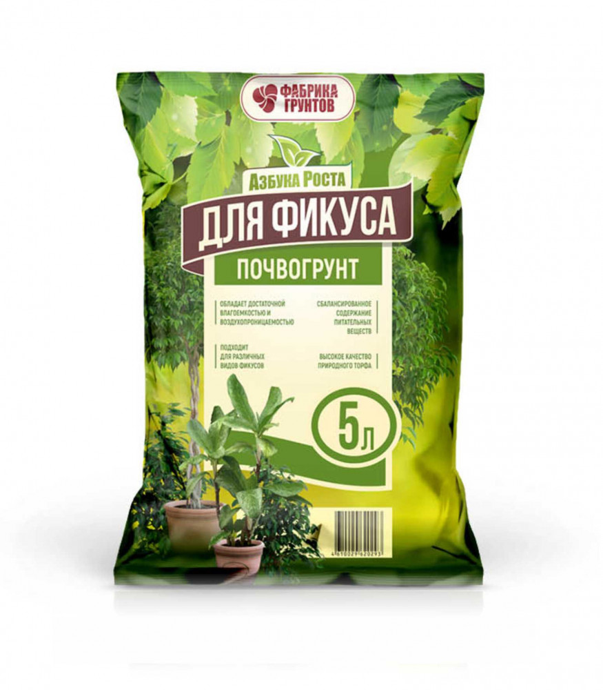 Почвогрунт для фикуса | Азбука роста