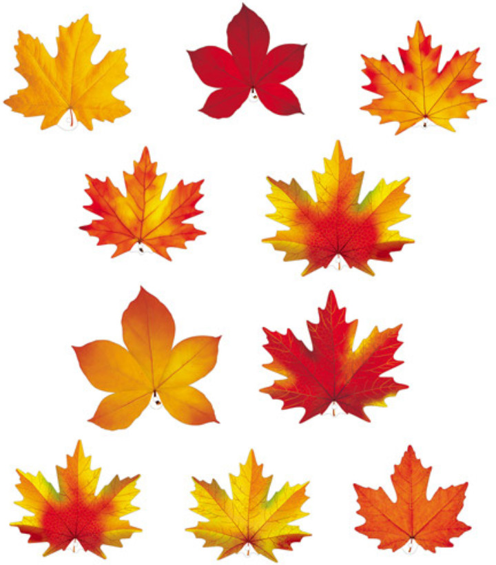 Комплект фигурок вырубных «Осенние листья» | Комплекты на скотче