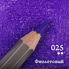 025 Фиолетовый