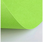 зеленый светлый