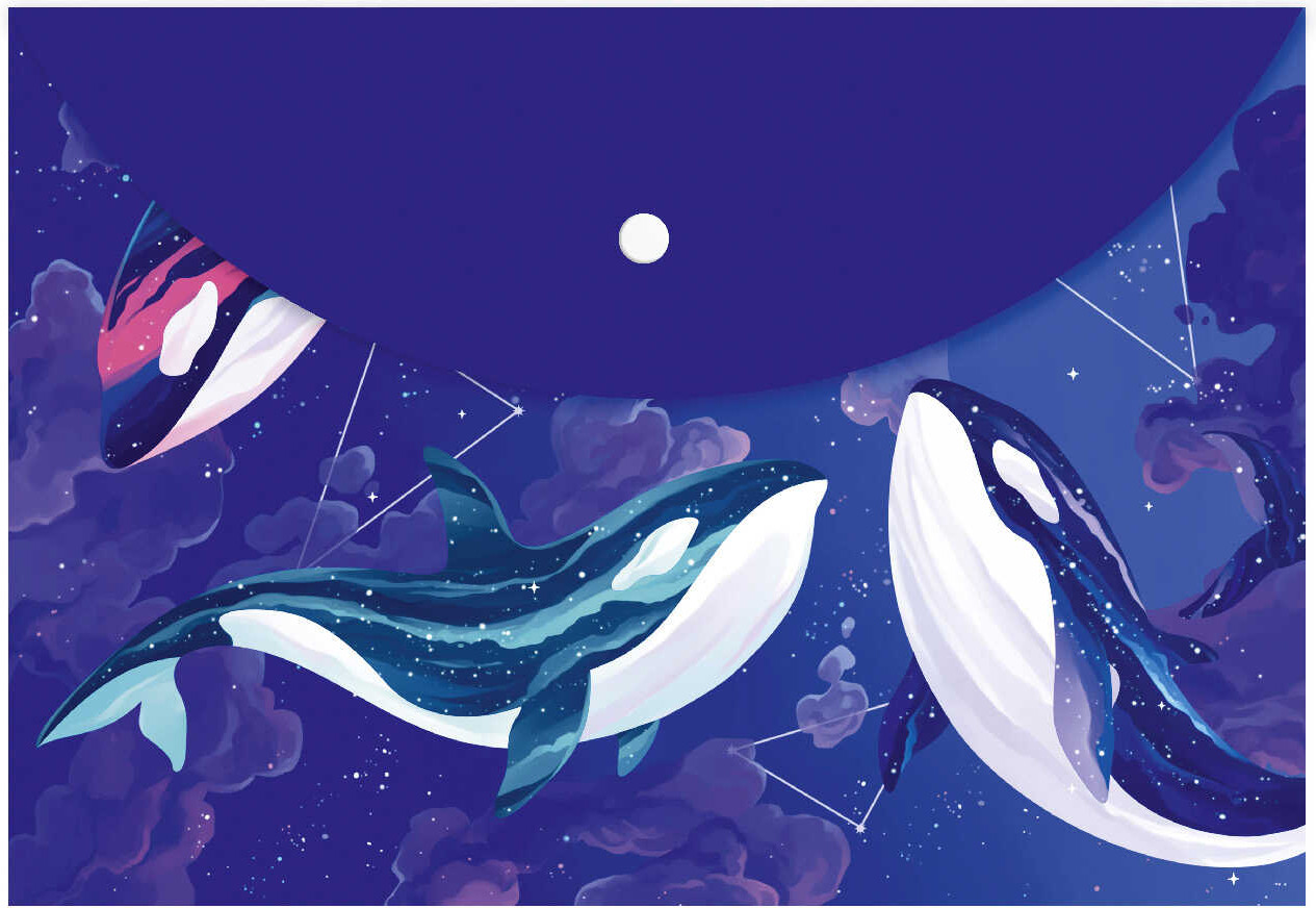 Папка для документов «Созвездие киты» | Феникс +