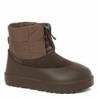 зелено-коричневый