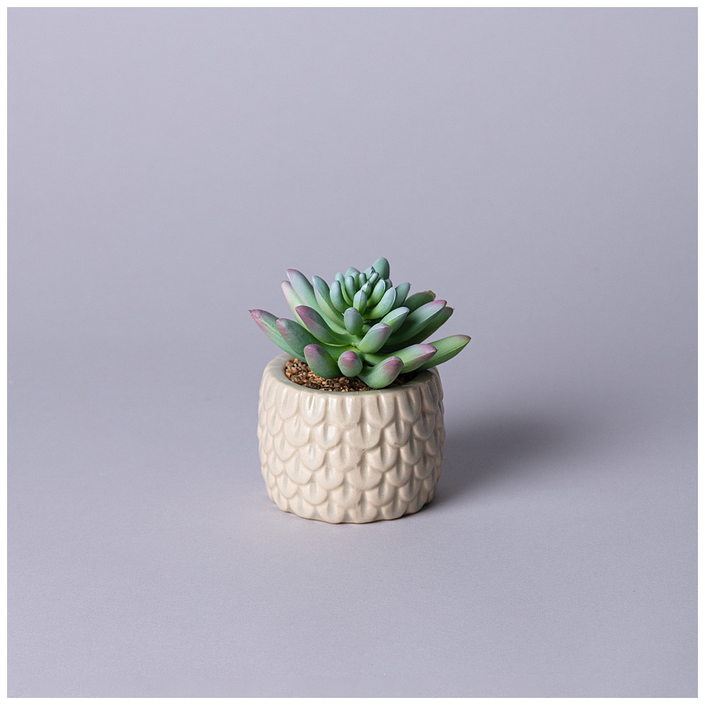 Суккулент искусственный в горшке | Lefard