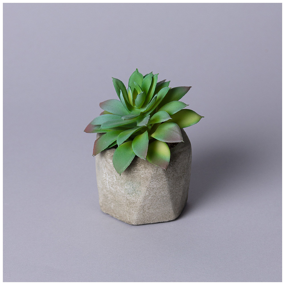 Суккулент искусственный в горшке | Lefard