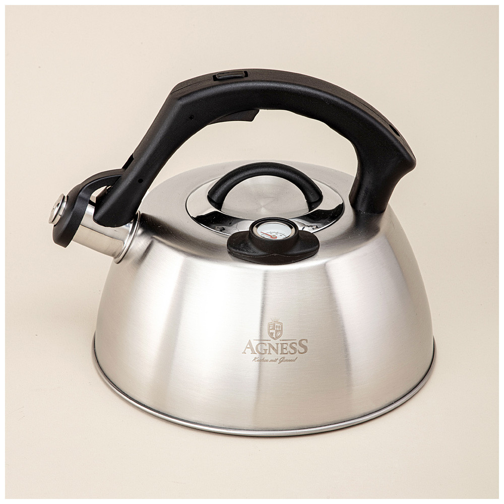 Чайник со свистком, термоаккумулирующим дном и встроенным термометром | Agness
