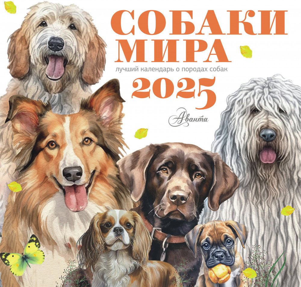 Календарь для детей на 2025 год «Собаки мира» | Календарь детский 2025