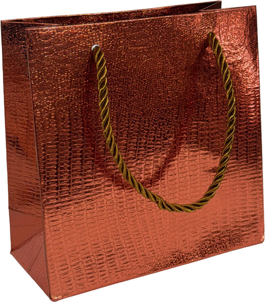 Пакет подарочный блестящий с принтом | ИнтерPresent