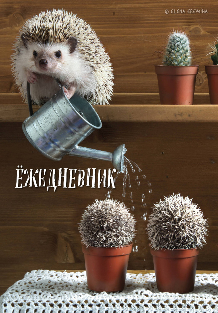 Ежедневник «Ёжедневник. Блокнот для людей и ежей» | Ежедневники недатированные со стандартным блоком