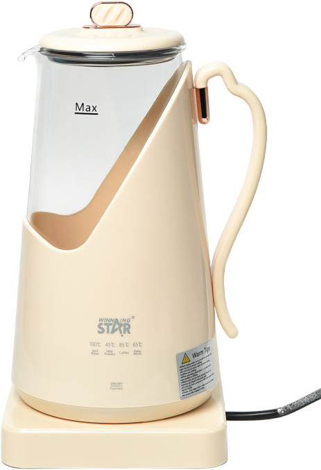 Чайник электрический ST-6032 | Winning Star
