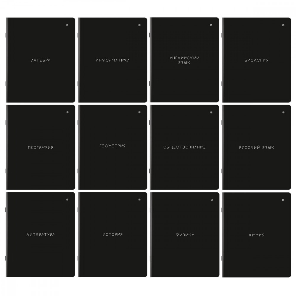 Набор тетрадей предметных «Minimal» | Brauberg