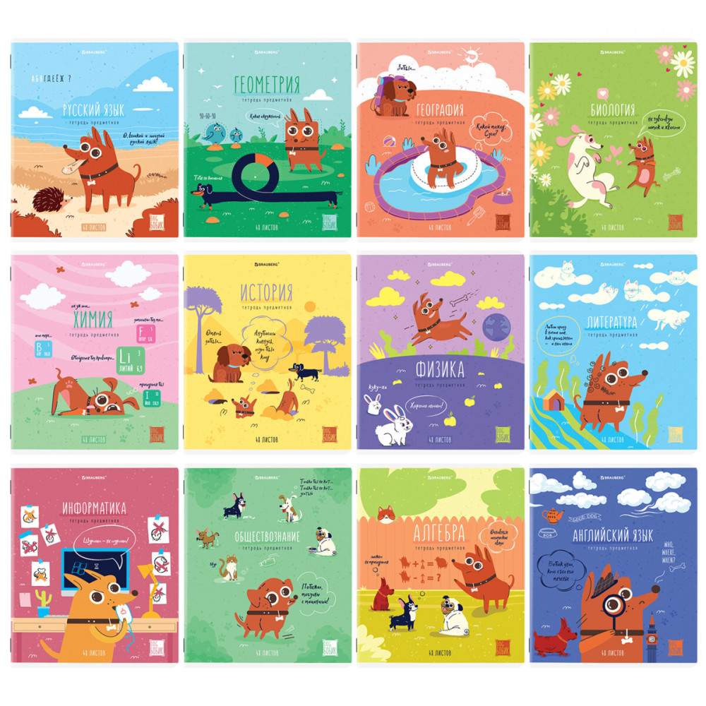 Комплект тетрадей предметных | Brauberg