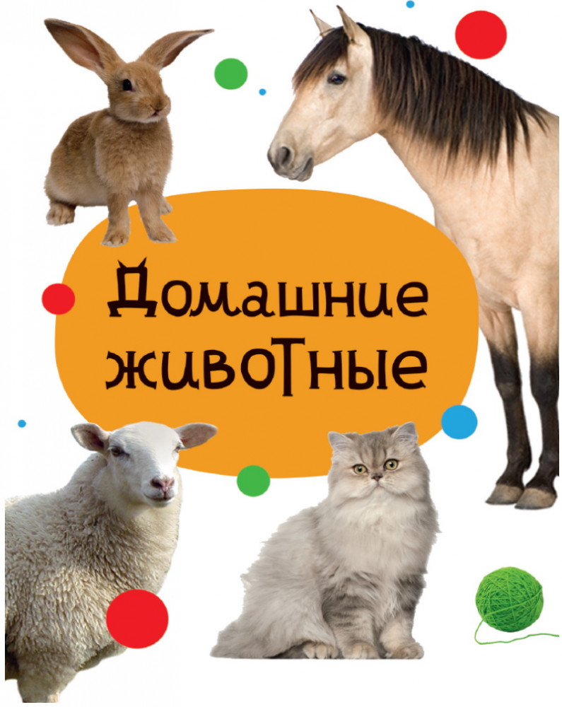 Домашние животные | Книжки на картоне