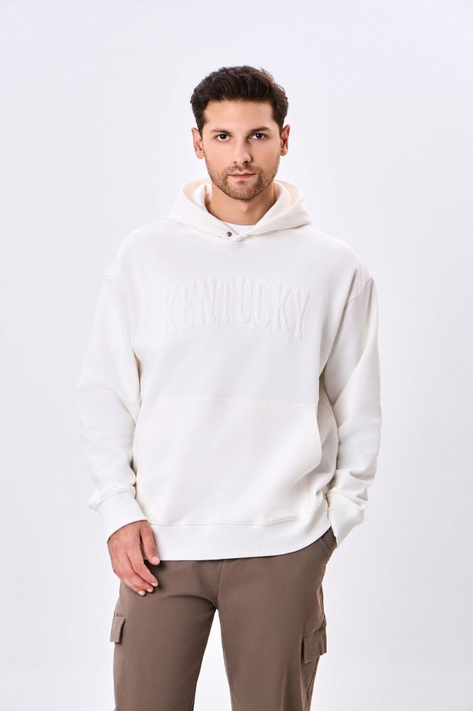 Толстовка мужская | Terra Pro