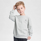 серый серый