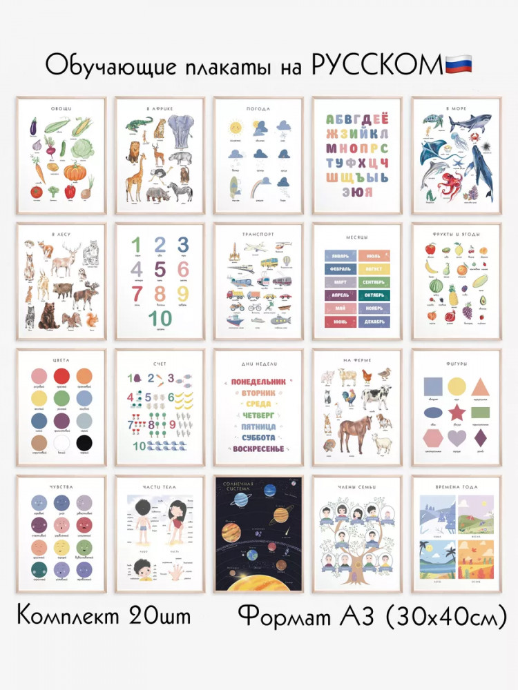 Обучающие постеры на русском языке для детей формат А3 с ламинированием | BALAMOUR