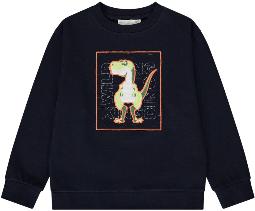 Свитшот для мальчиков | ORCHESTRA