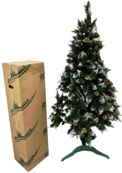 Ель с шишками «Лидия»