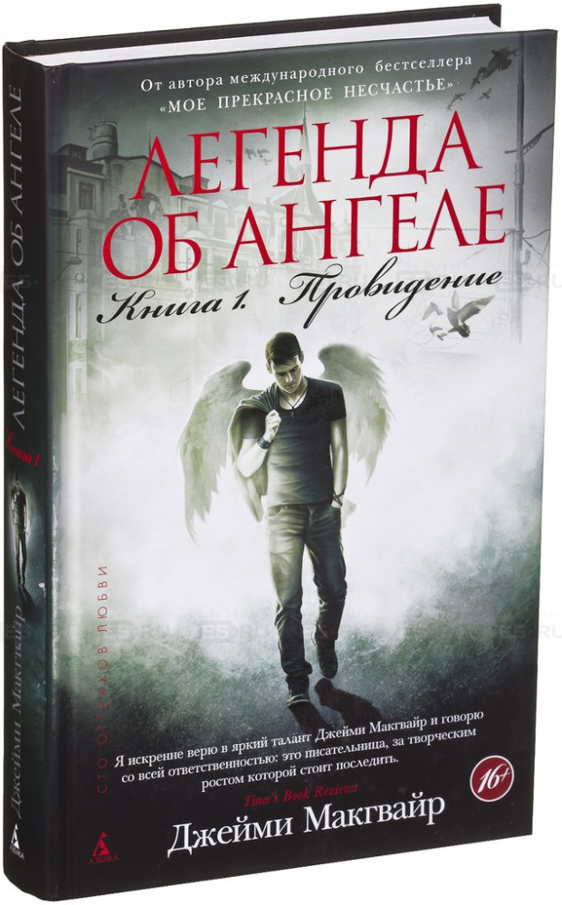 Легенда об ангеле. Книга 1. Провидение | Сто оттенков любви