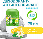 цветок цитруса