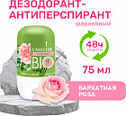 бархатная роза